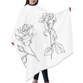 Personality  Vector Rose Floral Botanical Flowers. Black And White Engraved Ink Art. Isolated Rose Illustration Element. Hair Cutting Cape