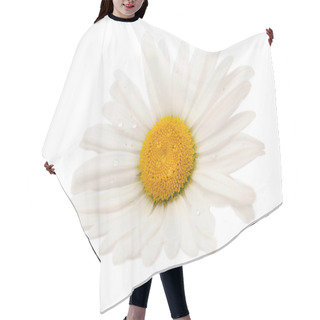 Personality  Daisy Hair Cutting Cape