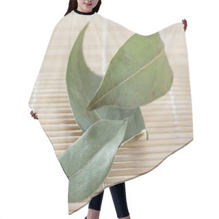 Personality  Bay Leaves Hair Cutting Cape