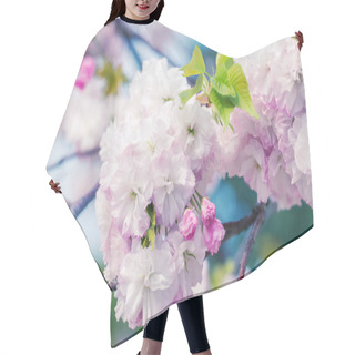 Personality  White And Pink Sakura Flowers On A Branch Hair Cutting Cape