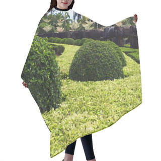 Personality  Well Kept Garden. Hair Cutting Cape