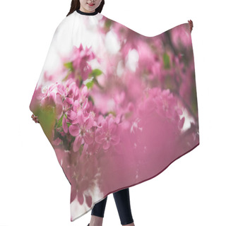 Personality  Close-up Shot Of Pink Cherry Blossom On Tree Outdoors Hair Cutting Cape