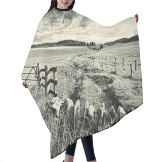 Personality  Spring Rural Landscape With Stone Wall, Scotland Hair Cutting Cape