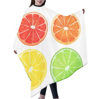 Personality  Citrus Fruits, Vector Design Hair Cutting Cape