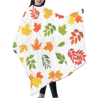 Personality  Set Of Colorful Autumn Leaves. Vector Illustration.  Hair Cutting Cape