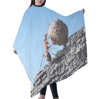 Personality  Red Ant Rolls Stone Uphill Hair Cutting Cape
