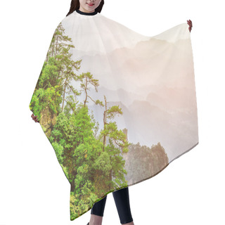 Personality  Green Trees Growing On Top Of Rock, Avatar Rocks. Toned Image Hair Cutting Cape