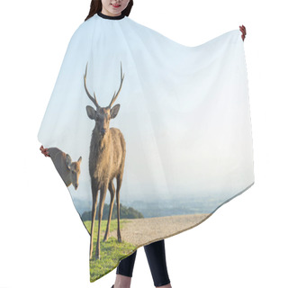 Personality  Deers Grazing In Mountains Hair Cutting Cape