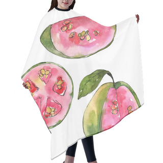 Personality  Exotic Guava Wild Fruit In A Watercolor Style Isolated. Hair Cutting Cape