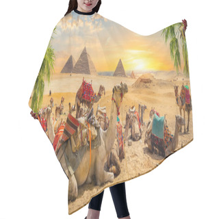 Personality  Camels Near Pyramids Hair Cutting Cape
