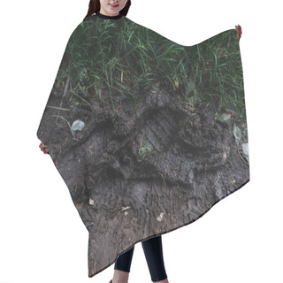 Personality  Footprints On Ground With Mud Near Green Grass  Hair Cutting Cape