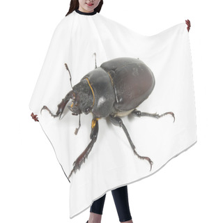 Personality  Stag Beetle Hair Cutting Cape