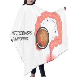 Personality  Bowel Suffering From Enterobiasis Hair Cutting Cape