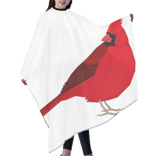 Personality  Cardinal Bird Vector Illustration Isolated Object Hair Cutting Cape