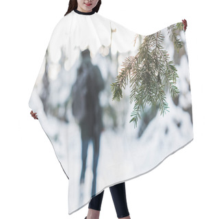 Personality  Selective Focus Of Fir Tree Branch In Snowy Forest  With Traveler On Background Hair Cutting Cape