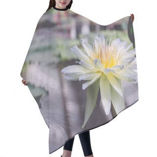 Personality  Closeup Shot Of A Flower Called Indian Lotus Blooming On Water Hair Cutting Cape