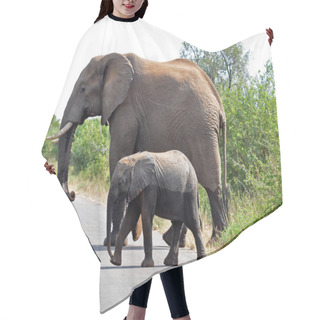 Personality  African Elephant And Calf Hair Cutting Cape