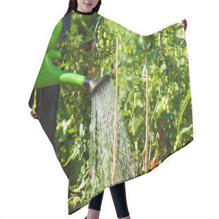 Personality  Gardening In Summer - Woman Watering Plants Hair Cutting Cape