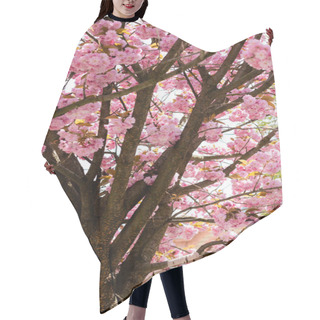 Personality  Blooming Pink Flowers On Branches Of Cherry Tree  Hair Cutting Cape