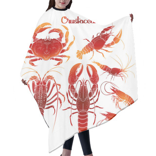 Personality  Graphic Crustaceans Collection Hair Cutting Cape
