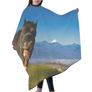 Personality  Funny Horse With A Silly Expression On It's Face Hair Cutting Cape