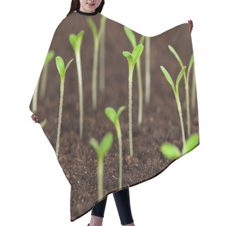 Personality  Green Seedling Hair Cutting Cape