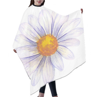 Personality  Watercolor Daisy Hand Painted Illustration, Watercolour Daisy Isolated On White Background. Watercolor Floral. Botanical Drawing. Chamomile Watercolor. Hair Cutting Cape
