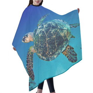 Personality  Big Sea Turtle Swimming Underwater Hair Cutting Cape