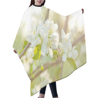 Personality  Apple Orchard Garden With White Flowers Hair Cutting Cape
