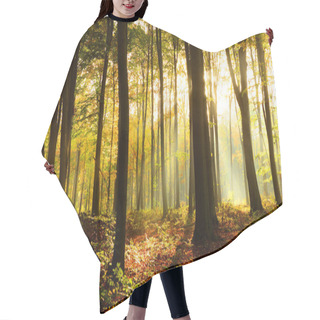 Personality  Beautiful Autumn Forest Landscape With Morning Sunbeams Hair Cutting Cape
