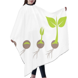 Personality  Plant Seed Germination Stages Hair Cutting Cape