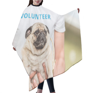Personality  Cropped Image Of Volunteer Of Animals Shelter Holding Funny Pug Dog Hair Cutting Cape