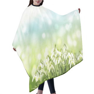 Personality  Beautiful Flowers, Floral Concept, Nature Background Hair Cutting Cape