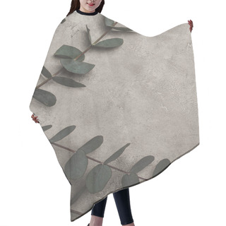 Personality  Top View Of Green Eucalyptus Leaves On Concrete Surface  Hair Cutting Cape
