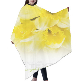 Personality  A Bunch Of Daffodils Hair Cutting Cape