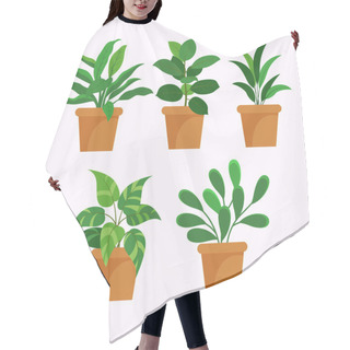 Personality  Flat Houseplant Collection Vector Illustration Hair Cutting Cape