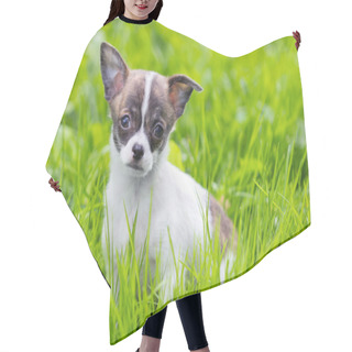 Personality  Puppy Chihuahua Hair Cutting Cape