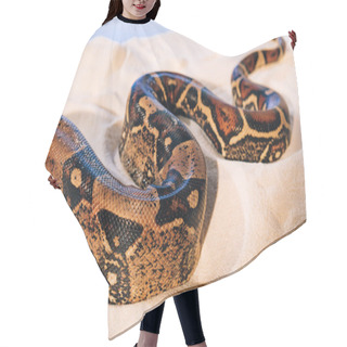 Personality  Selective Focus Of Pattern On Python Snakeskin On Sand On Blue Background Hair Cutting Cape
