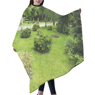 Personality  Green Bushes On Fresh Grass Near Trees And Pines In Park  Hair Cutting Cape