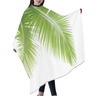 Personality  Palm Tree Hair Cutting Cape