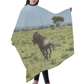 Personality  Wildebeest Running On Grass In Natural Environment  Hair Cutting Cape