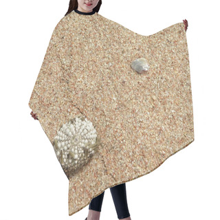 Personality  Send And Sea Hedgehog Fossil Hair Cutting Cape