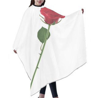 Personality  Red Rose Isolated On White, Vector Illustration Hair Cutting Cape