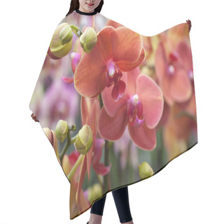 Personality  Coral Phalaenopsis Orchid Hair Cutting Cape