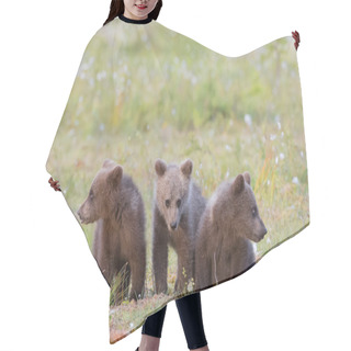 Personality  Three Brown Bears Cubs Sitting In The Grass Hair Cutting Cape