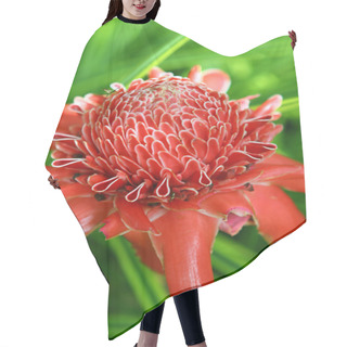 Personality  Tropical Flower Torch Ginger Hair Cutting Cape