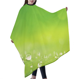 Personality  Rain Drops Over Fresh Green Leaf Texture, Natural Background Hair Cutting Cape