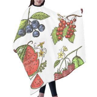 Personality  Set Berries. Raspberry, Blueberry, Sea Buckthorn, Red Currants, Strawberry, Gooseberry, Watermelon, Cloudberry, Dog Rose, Blueberry, Raspberry. Engraved Hand Drawn In Old Sketch, Vintage Style. Hair Cutting Cape
