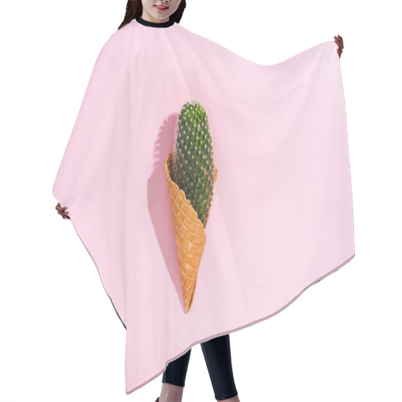 Personality  top view of cactus in ice cream cone on pink with copy space hair cutting cape