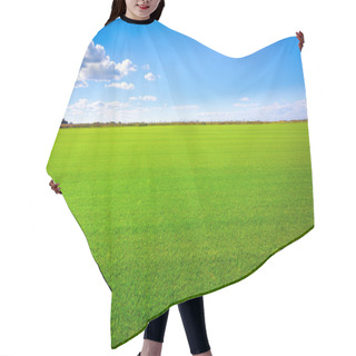 Personality  Grass Landscape Hair Cutting Cape
